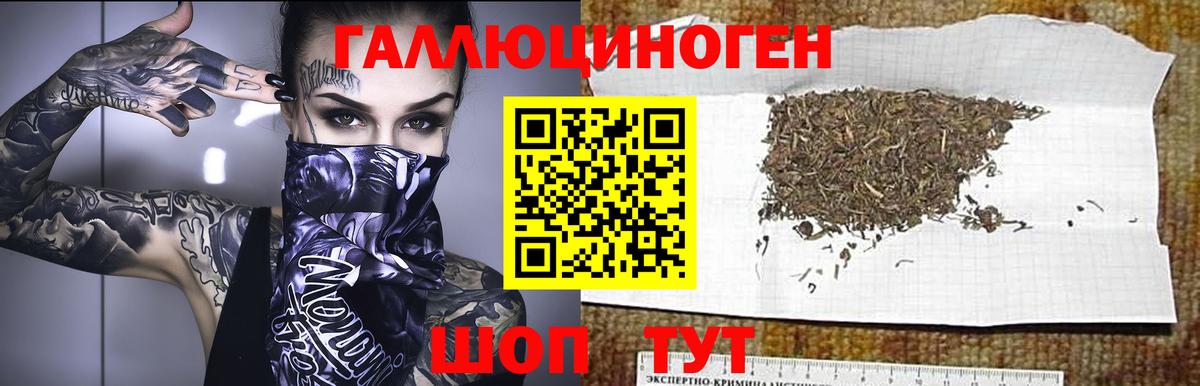 Псилоцибиновые грибы ЛСД Бор